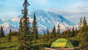 Camping tent set up among pine trees with snow-covered mountains in the background under a clear sky.