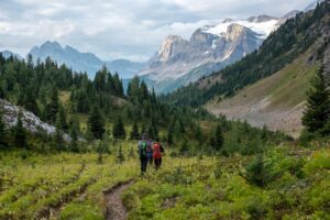 🏔️ Colorado Rockies: Wildlife Adventures & Scenic Escapes🌲 2 Two people walking through a grassy field with steep hills and towering mountains in the background.
