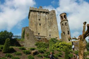 Blarney Castle, Ireland: Kiss the Legendary Stone 2 View of Blarney Castle from the base of the hill, with stone walls rising above lush greenery