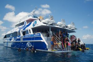Luxury boat tour at the Great Barrier Reef, Cairns — snorkeling, diving, and tropical marine views.