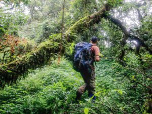 Nam Et-Phou Louey National Protected Area – Laos’ Wild Frontier 3 Hiker with a backpack walking along a trail in a dense rainforest.