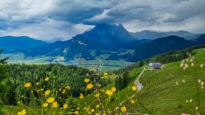 Hikers walking along a scenic trail in Sankt Johann in Tirol, Austria, surrounded by green alpine meadows and towering mountain peaks in summer.