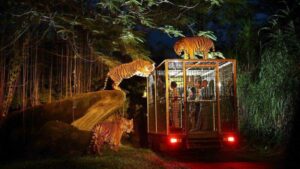 Safari Nights In Thailand – Discover Wildlife After Dark 1 Bengal tigers perched on a caged safari vehicle during a nighttime wildlife tour.