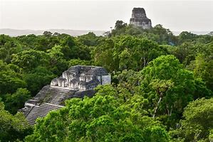 Tikal in Guatemala, showcasing numerous Mayan structures surrounded by dense jungle and towering trees, highlighting the ancient city’s scale and history.