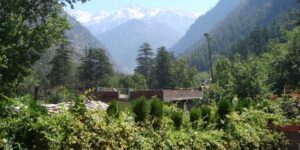 Secluded house surrounded by dense forest and heavy vegetation, with mountains rising in the background.