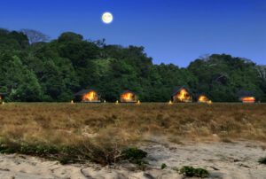 🇬🇦 Gabon – Rainforest Safaris & Wild Beaches 4 Four glamping huts lit up at night at a rainforest at Four elephants in a rainforest at Ghana – Elephants, Savannas & Canopy Walks