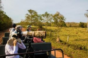 Group of tourists in a safari jeep taking photos of wildlife in South America.