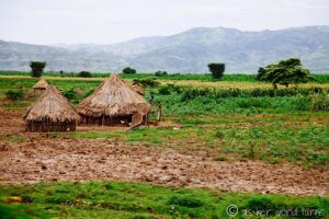 Traditional thatched huts dot the lowlands of Ethiopia’s Omo Valley, reflecting the region’s rich cultural heritage and rural lifestyle.