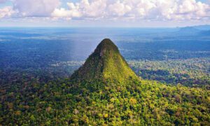 Ancient pyramid emerging from dense rainforest canopy in South America
