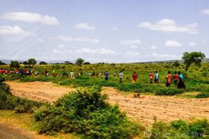 Local villagers in Ethiopia’s Omo Valley working and gathering in open fields, surrounded by the region’s rural beauty.