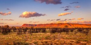 Flat landscape of the Australian Outback with scattered vegetation and mountains in the background under a clear sky.