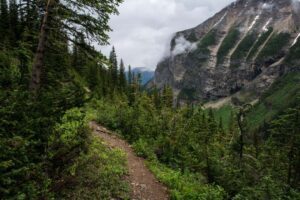Hiker walking on a trail in a valley with pine trees and a large rock mountain in the background.