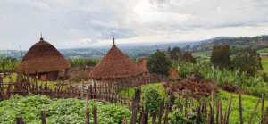 Traditional thatched huts perched on a small hill surrounded by green vegetation in Ethiopia’s Omo Valley.