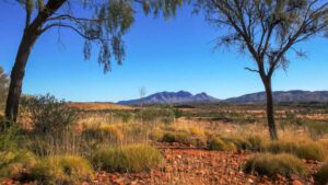 Wide open countryside in the Australian Outback with scattered trees, open fields, and distant mountains under a vast sky.
