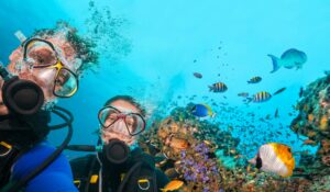🌊 Ultimate Guide to Underwater Exploration: Top 50 Scuba & Water Adventure Gear with Featured Underwater Drones 6 Two scuba divers exploring a coral reef with colorful fish swimming nearby