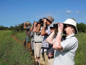 Travelers standing with binoculars watching wildlife in South America.