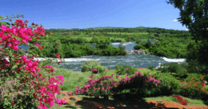 Djoudj National Bird Sanctuary, The Best National Park In Senegal with a river and flowers and vegetation