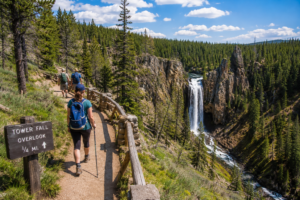 Tower Fall – Yellowstone’s Classic Waterfall 8 Hikers exploring a scenic forest trail overlooking Tower Fall, rugged volcanic rock formations, and evergreen wilderness in Yellowstone National Park.