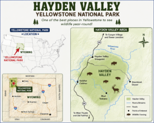 Illustrated locator map of Hayden Valley in Yellowstone National Park showing its location within Wyoming and the United States, with wildlife viewing areas, roads, rivers, and major nearby landmarks.