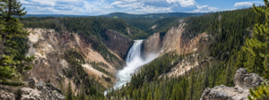 Tower Fall – Yellowstone’s Classic Waterfall 1 Lower Yellowstone Falls plunging into the Grand Canyon of the Yellowstone, surrounded by rugged canyon walls and evergreen forest.