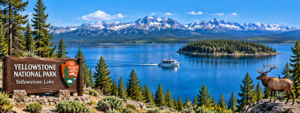 Yellowstone Lake – The Heart of Yellowstone National Park 1 Panoramic Yellowstone Lake hero image featuring blue lake waters, mountain peaks, evergreen forests, a scenic boat, elk, and Yellowstone National Park scenery.