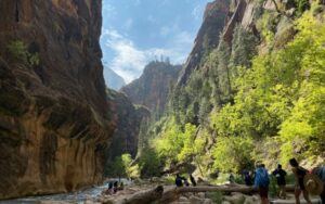 Hikers exploring a scenic river trail surrounded by towering canyon walls and green trees in Zion National Park, Utah.