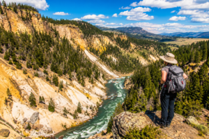Hiker overlooking a winding river canyon with towering cliffs, evergreen forests, and distant mountain scenery under a bright partly cloudy sky.