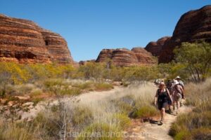 Several vacationers walking along a trail surrounded by trees, green vegetation, and large rock formations.