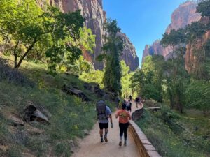 Several people walking through Zion National Park, some with backpacks, surrounded by trees and tall canyon walls.