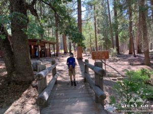 Hiker with a backpack walking on a forest trail next to a trail sign