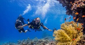 Explore Egypt’s Red Sea — the top four scuba diving destinations for vibrant reefs and marine life 🐠🏝️