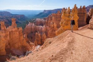 Person standing at the edge of a deep canyon with steep cliffs and layered rock formations under a clear sky.