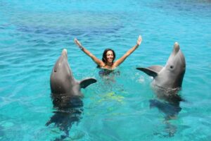 Person swimming hand-in-fin with two playful dolphins in clear, turquoise ocean waters.