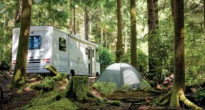 Rocky Mountain National Park: RV & Camping Essentials ?️?? 5 RV and tent campsite surrounded by tall evergreen trees and moss-covered forest in a peaceful Rocky Mountain camping setting.