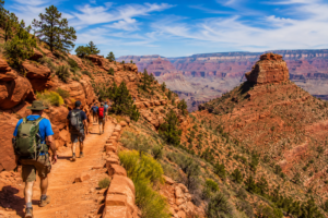 Hikers walking along a scenic Grand Canyon trail surrounded by towering red rock cliffs, desert vegetation, and panoramic canyon views beneath a bright blue sky.