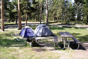 Two tents and a picnic table set up in a forest campground surrounded by trees