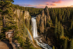 Tower Fall – Yellowstone’s Classic Waterfall 7 Scenic view of Tower Fall in Yellowstone National Park surrounded by rugged rock pinnacles and evergreen forest during golden-hour light.
