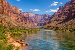 View from the banks of the Colorado River looking upstream through the Grand Canyon, with towering red rock cliffs, colorful canyon walls, desert vegetation, and calm river waters beneath a bright blue sky.
