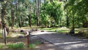 A picnic table and tent set up in a forested area next to a paved road.