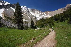 A young hiker walking along a trail through the wildflower meadow at Glacier Basin Campground, Rocky Mountain National Park