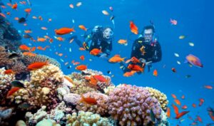 Snorkeling the vibrant reefs of Ras Mohammed National Park — Egypt’s Red Sea holiday adventure 🌊🐟