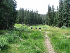 Three hikers walking along a trail through an open field with forested areas nearby.