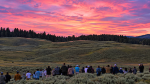 Visitors watching a colorful sunset over rolling sagebrush hills and evergreen forests in the Yellowstone landscape.