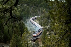 A train winds through a lush, heavily wooded valley, surrounded by dense trees and rolling hills, moving along tracks that curve through nature.