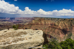 Scenic view of the Grand Canyon from a ledge, overlooking steep cliffs and expansive valleys.