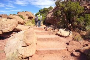 Two people with backpacks walking along a trail in a canyon with steep walls and trees lining the path under clear skies.
