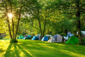 🌞🏕️⛺🎒 The Ultimate Camping & Adventure Gear Guide: 30 Tents and 20 Must-Have Outdoor Essentials 🎣🔥🍳 1 Several camping tents set up in a forest clearing on a sunny day, surrounded by trees and soft light — a peaceful outdoor adventure scene.