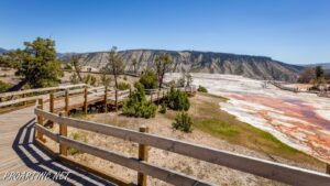 Yellowstone geysers and hot springs viewed from a wooden walkway with railing, with mountains in the background.