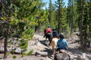 Estes Park – Gateway to The Rockies and Outdoor Adventure 4 People riding horses through a rocky forest trail with trees and boulders along the path.