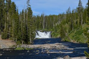 Yellowstone Lake – The Heart of Yellowstone National Park 4 Yellowstone waterfall flowing into a forest river surrounded by evergreen trees, rocky banks, and natural wilderness scenery.